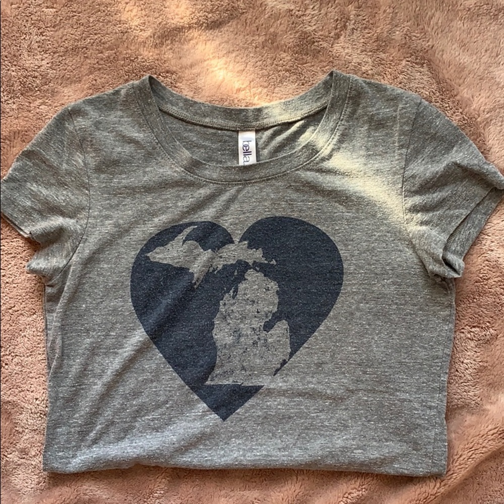 Gray Michigan Tee